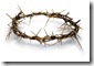 Crown_of_Thorns